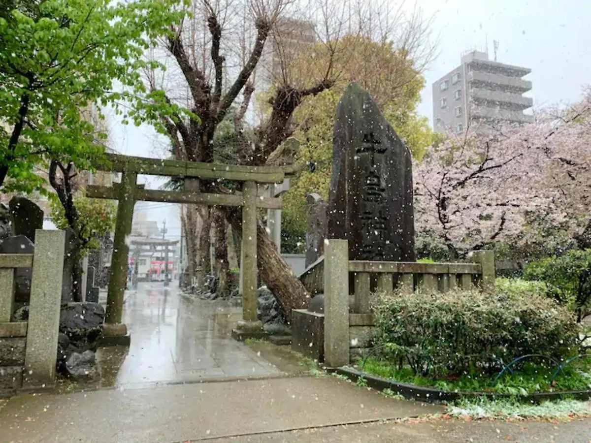 Kiko House - Vacation Stay 42445V Tokio Apartamento